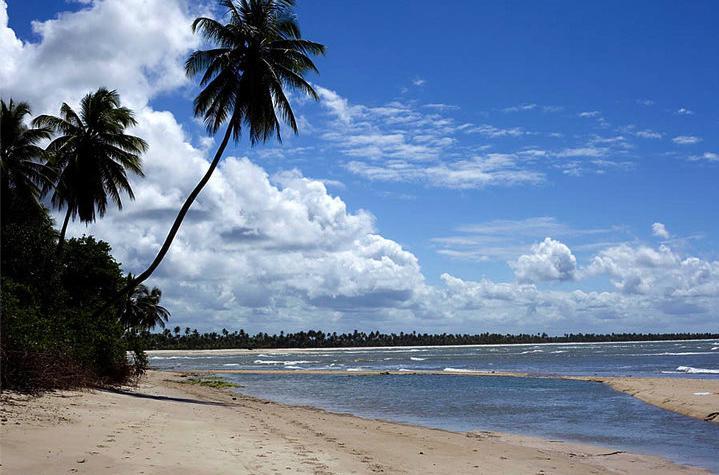 فندق Dende Loft Velha Boipeba المظهر الخارجي الصورة